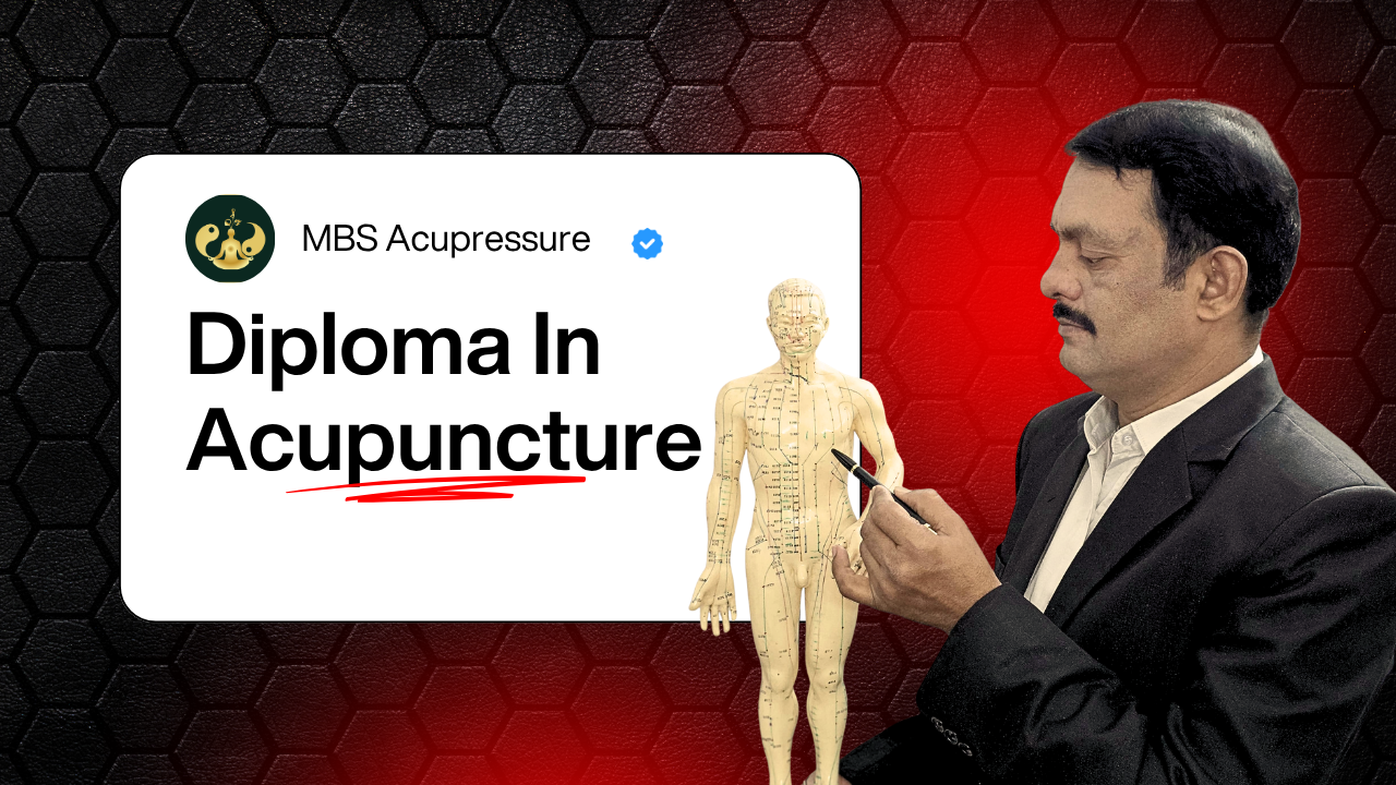 diploma in acupuncture